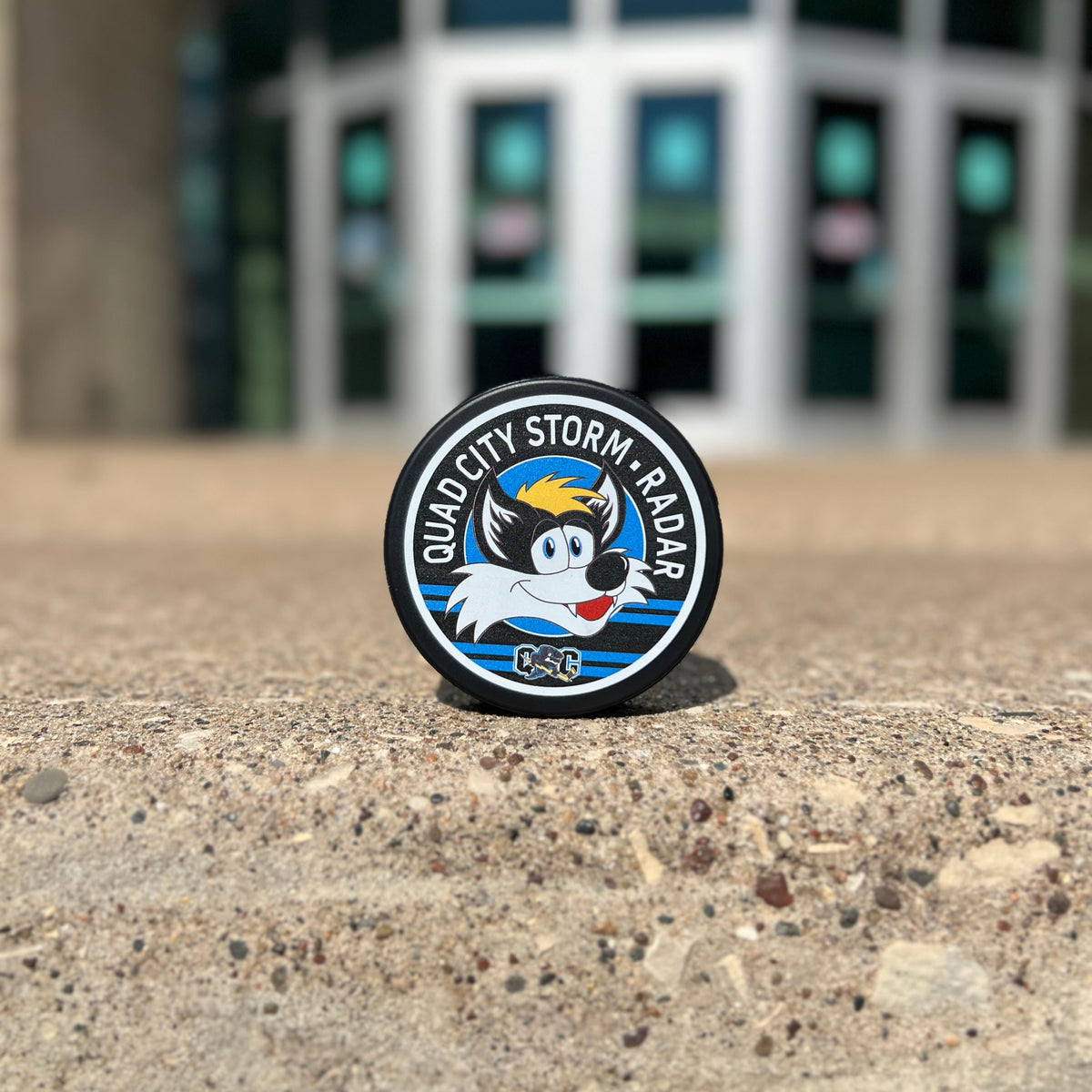 Mustang Hockey Pucks