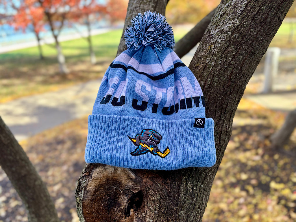 Rowdy Storm Beanie