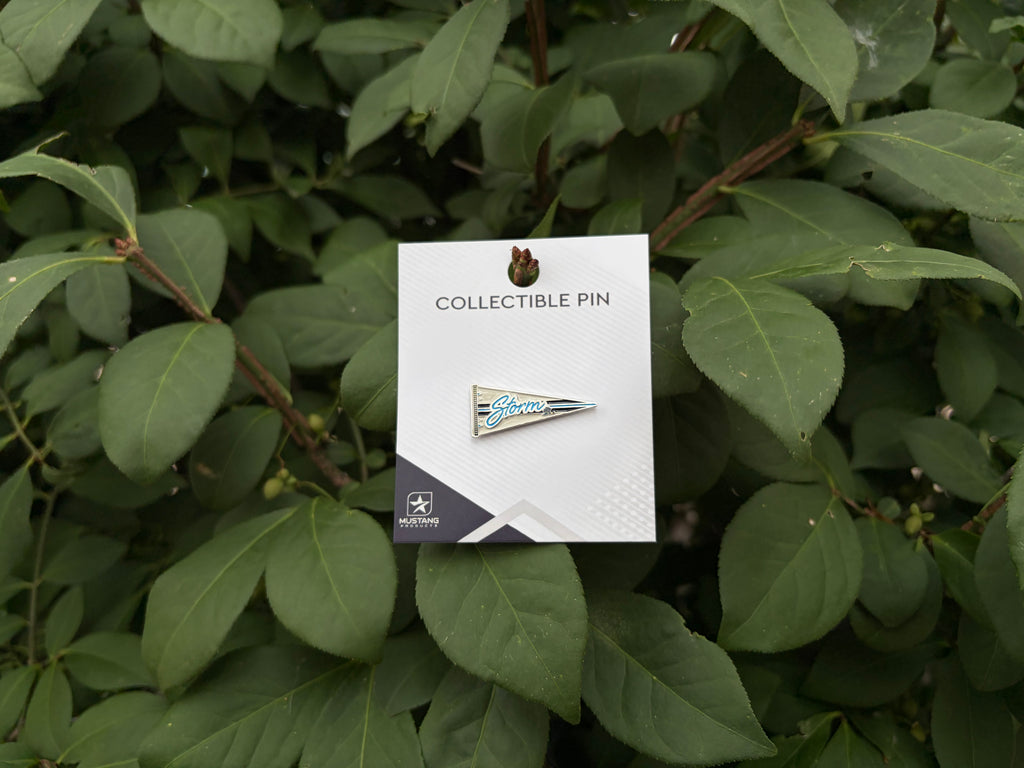 Pennant Pin